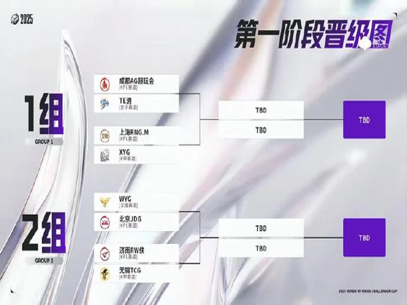 2025王者挑杯抽签结果公布 TE溯将迎战AG超玩会